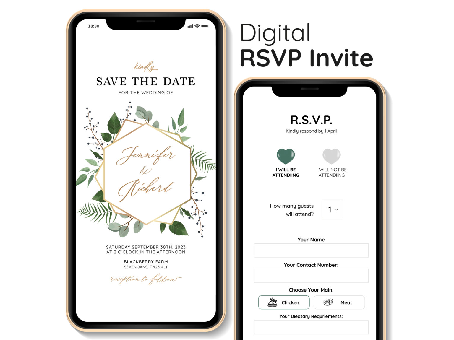 invitationzon-digital-rsvp-invite-mini-wedding-website-with-rsvp